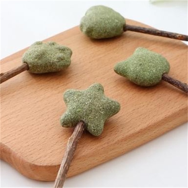 Catnip Lollipop